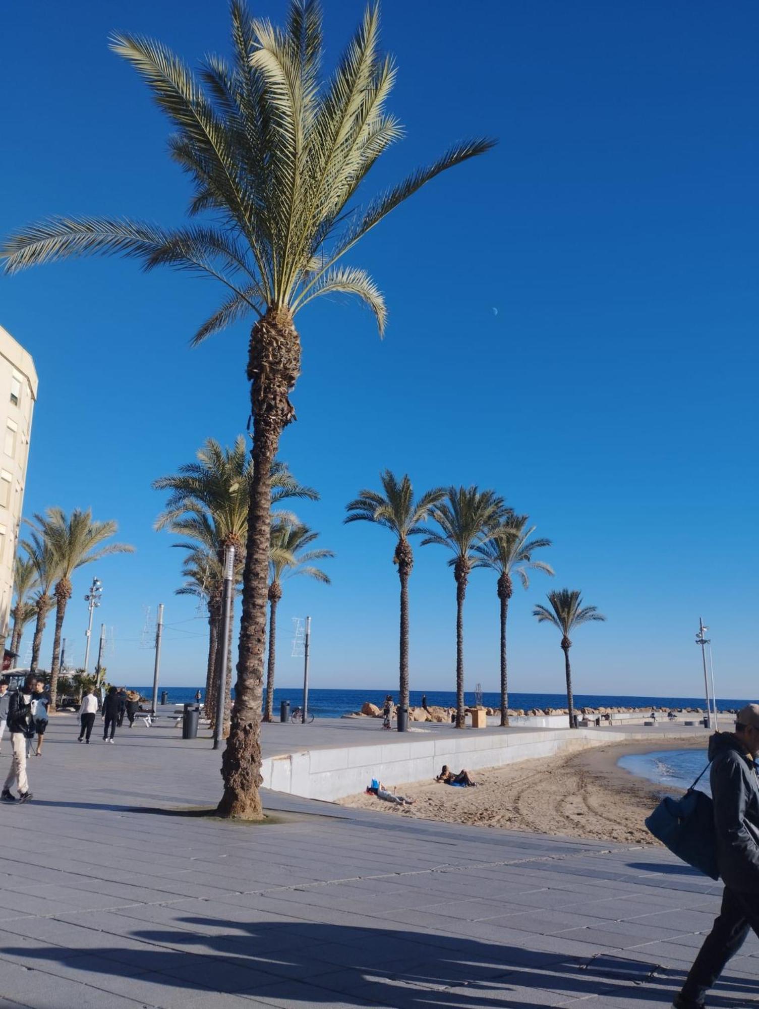 Просторная Квартира Рядом С Морем В Хорошем Районе Torrevieja Dış mekan fotoğraf